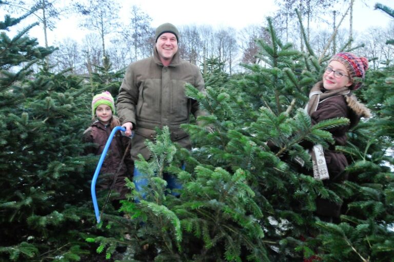 Der schönste Christbaum! Selbst geschlagen auf dem Tannenhof Oberweilbach