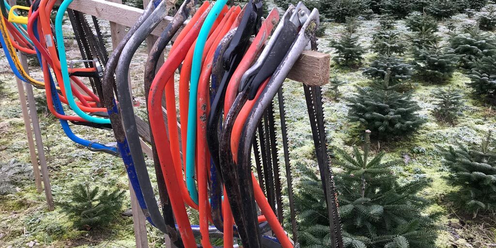 Viele Sägen, noch mehr Bäume. Auf dem Tannenhof Oberweilbach