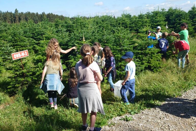 In der Natur statt in der Schule – der Erlebnisbauernhof Tannenhof Oberweilbach