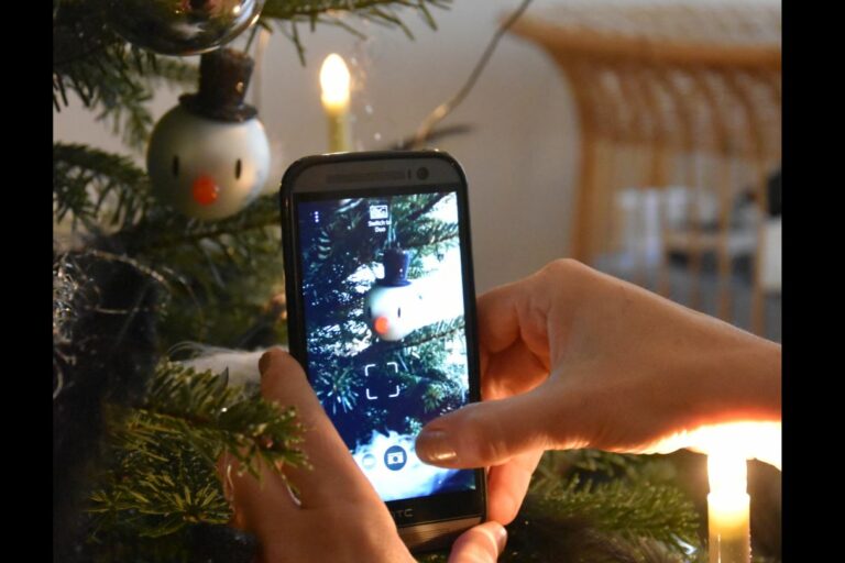 Bayerntanne.de_Hoptimist