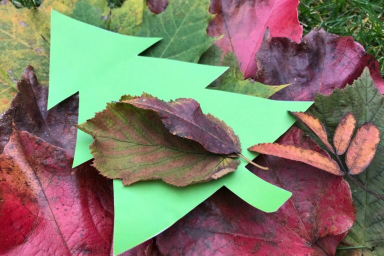 Tannenhof Oberweilbach_Bayerntanne.de_Christbaum online bestellen_Test