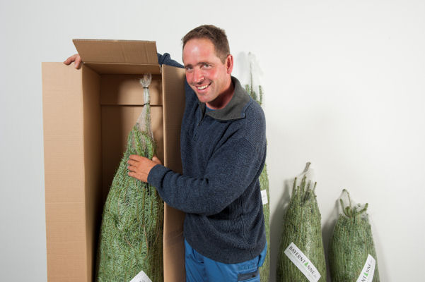 Tannenhof Oberweilbach_Bayerntanne