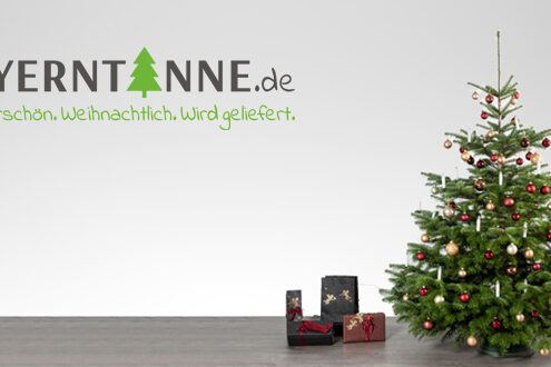 tannenhof-oberweilbach_bayerntanne