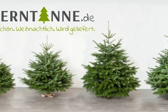 Tannenhof Oberweilbach_Bayerntanne_Der Online-Shop