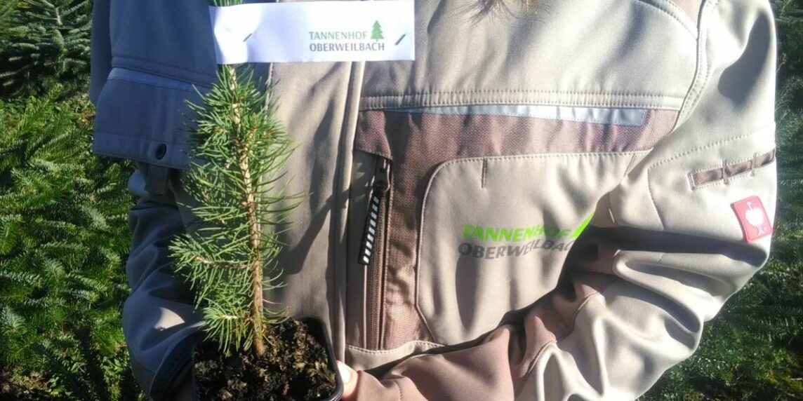 Tannenhof Oberweilbach_Christbaum kaufen. Baum pflanzen