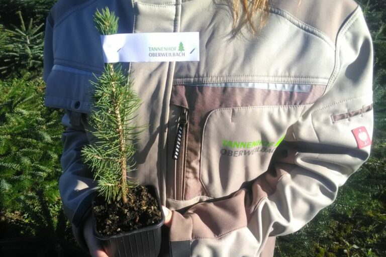 Tannenhof Oberweilbach_Christbaum kaufen. Baum pflanzen