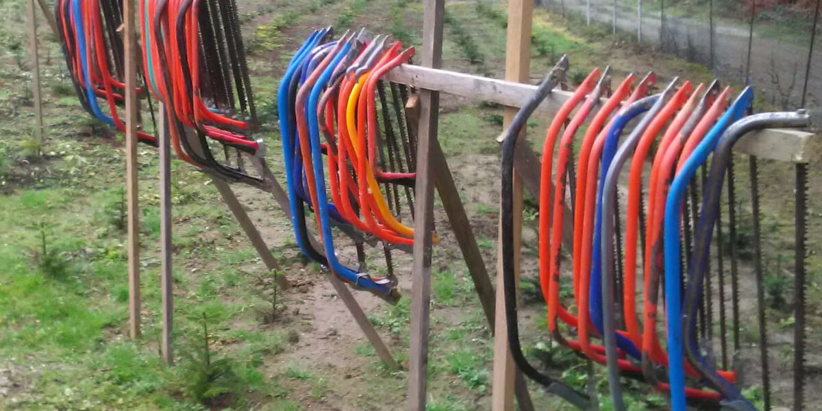 Tannenhof Oberweilbach_Christbaumschlagen