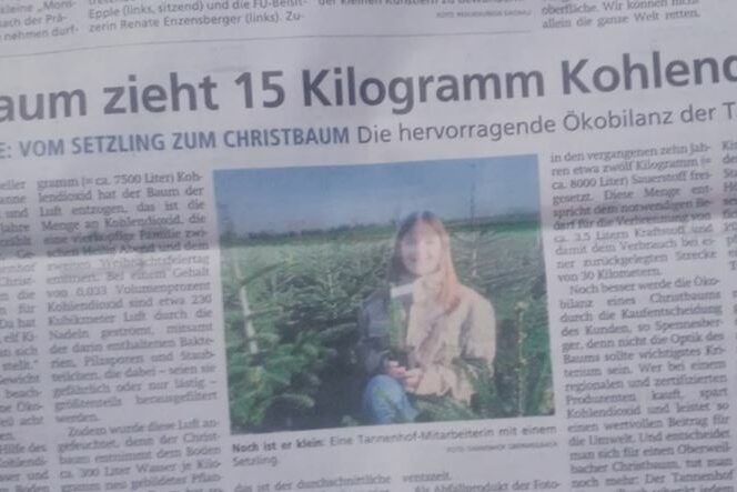 Tannenhof Oberweilbach_Dachauer Nachrichten_Christbaum