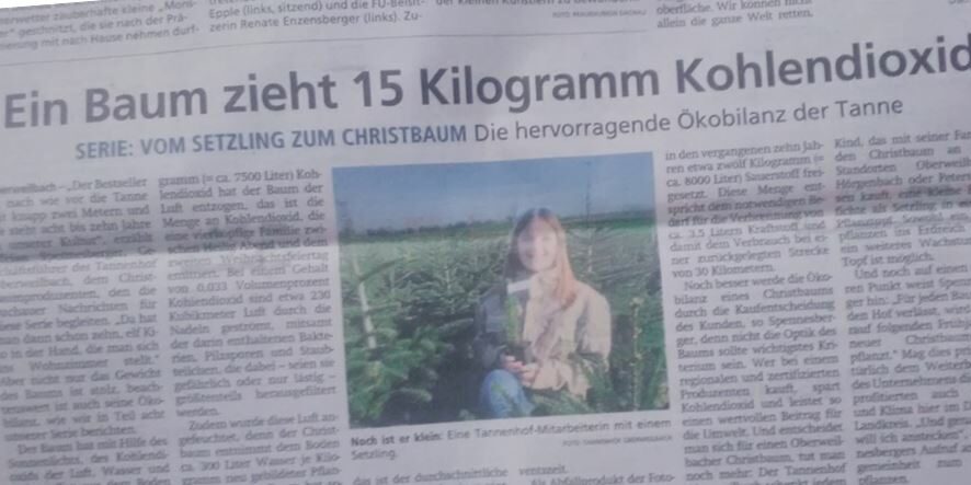 Tannenhof Oberweilbach_Dachauer Nachrichten_Christbaum