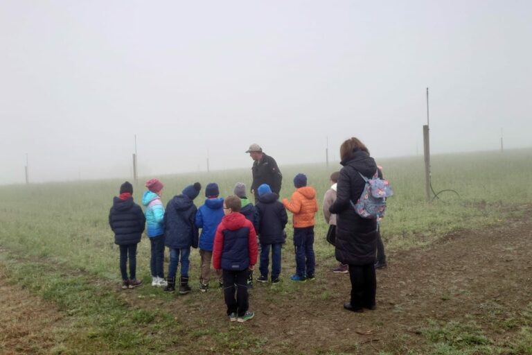 Tannenhof Oberweilbach_Erlebnisbauernhof