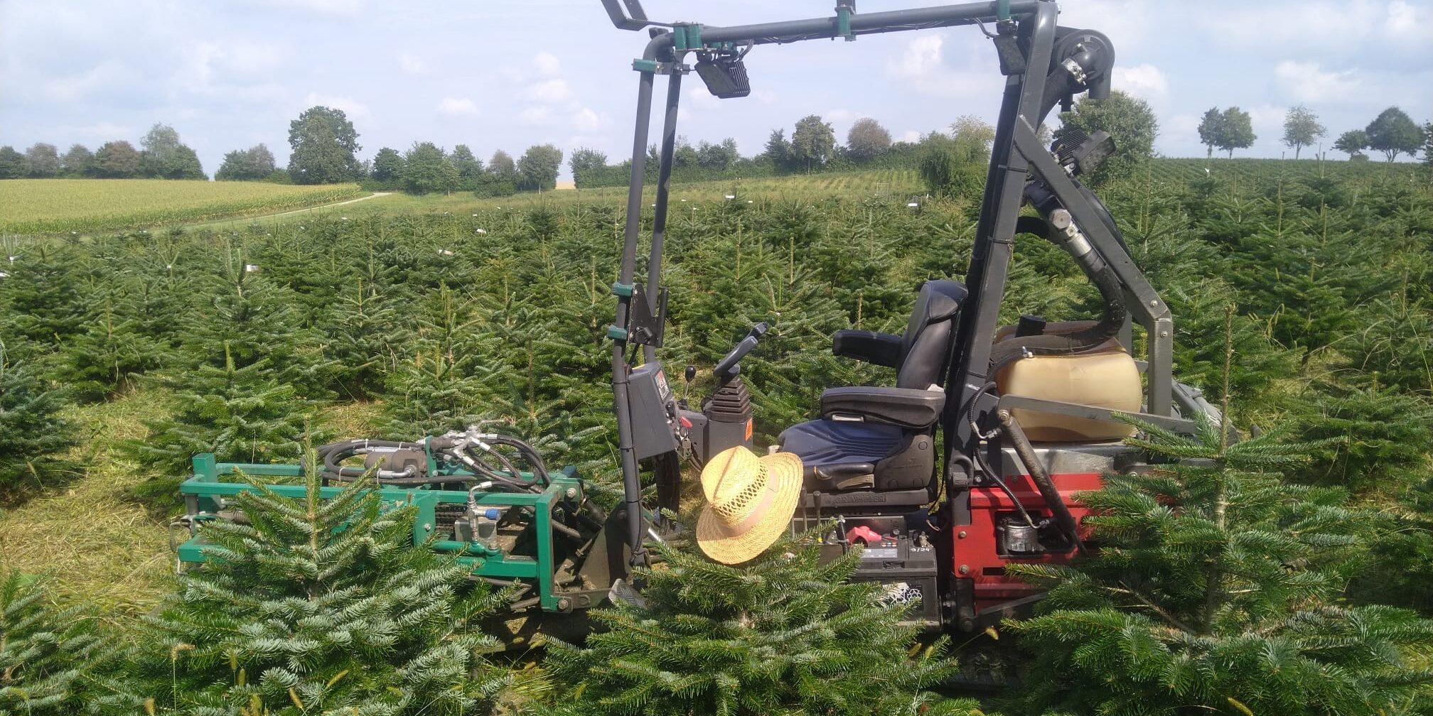 Tannenhof Oberweilbach_News_September 2024