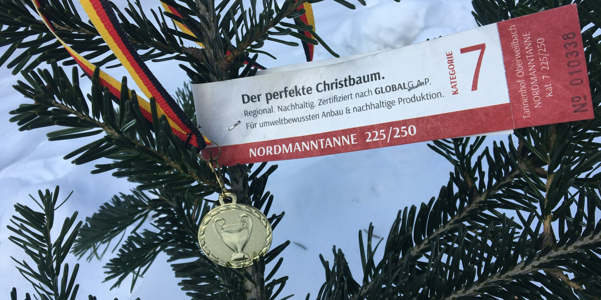 Tannenhof Oberweilbach_Olympia