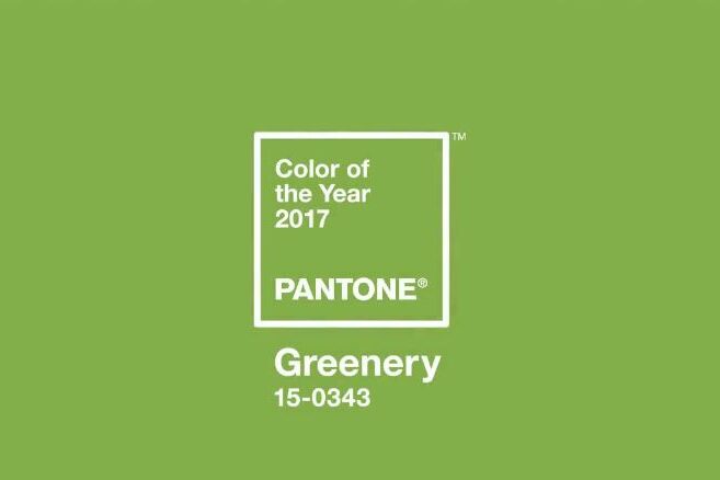 Tannenhof Oberweilbach_Pantone_Farbe des Jahres 2017