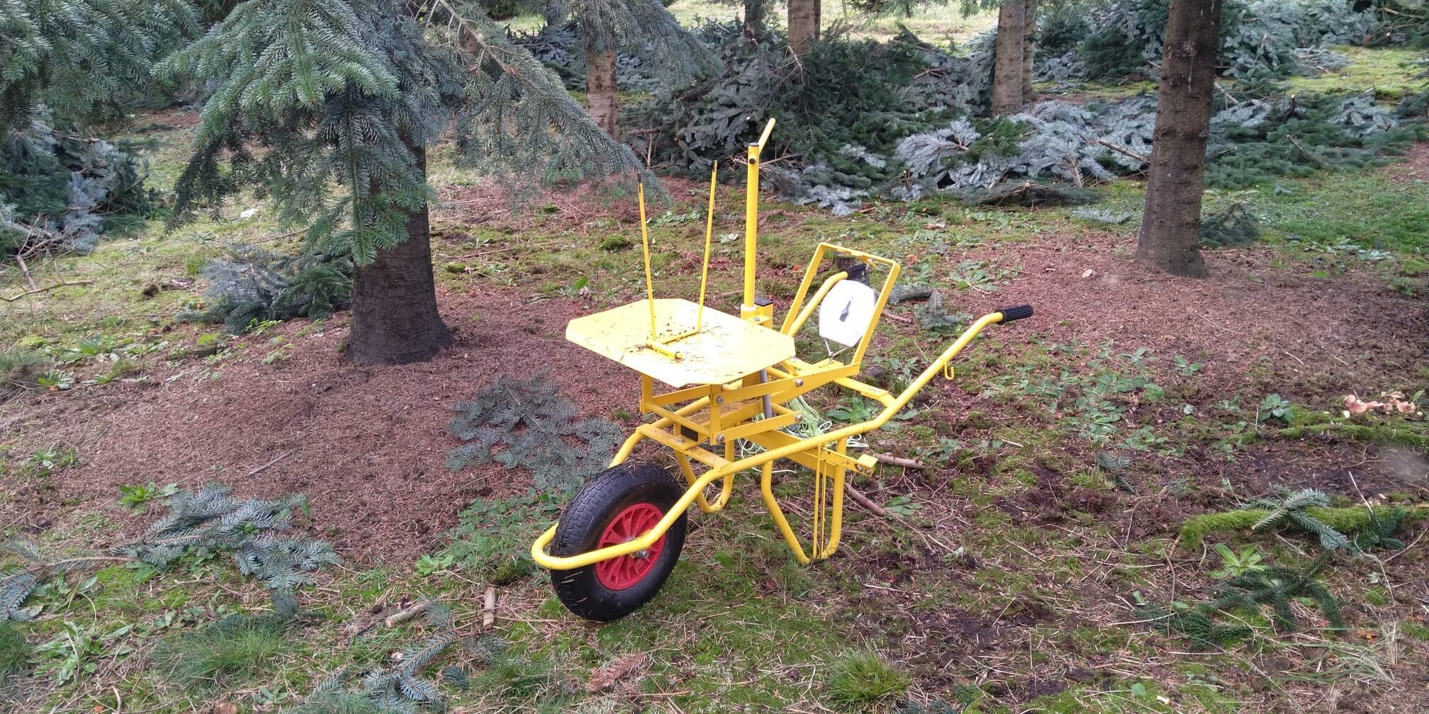 Tannenhof Oberweilbach_Schnittgruen-Ernte