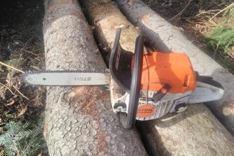 Tannenhof Oberweilbach_Sturmtief Sabine_I