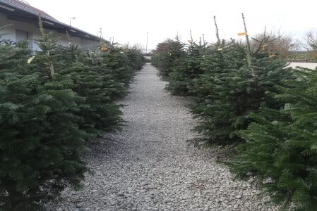 Tannenhof_Oberweilbach_Verkauf